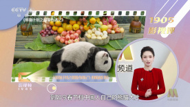 面对影迷签名、合影要求，梁朝伟亦一一答 章子怡凭《宗师》再获影后 表白王家卫：我等你 2014-03-07 3月6日，章子怡、王家卫、张家辉、麦浚龙等出席第20届香港电影评论学会大奖颁奖礼。